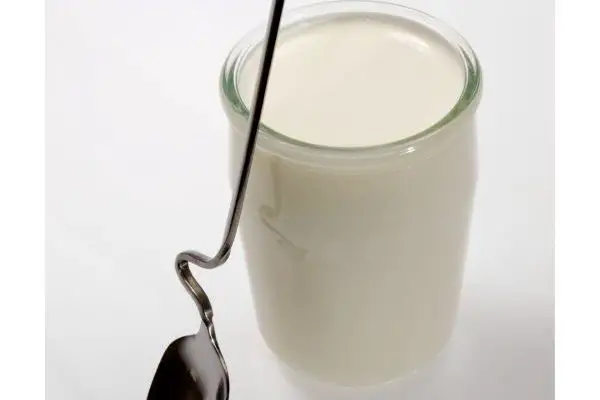 recette yaourt au lait concentre