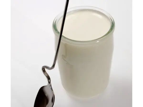 recette yaourt au lait concentre