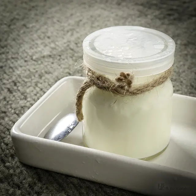 recette yaourt nature