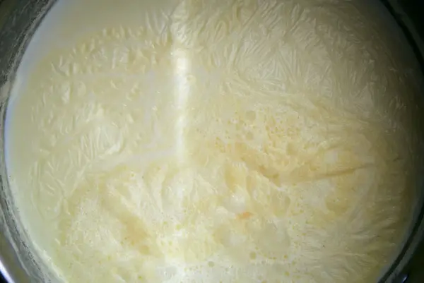 creme lait peau yaourt maison